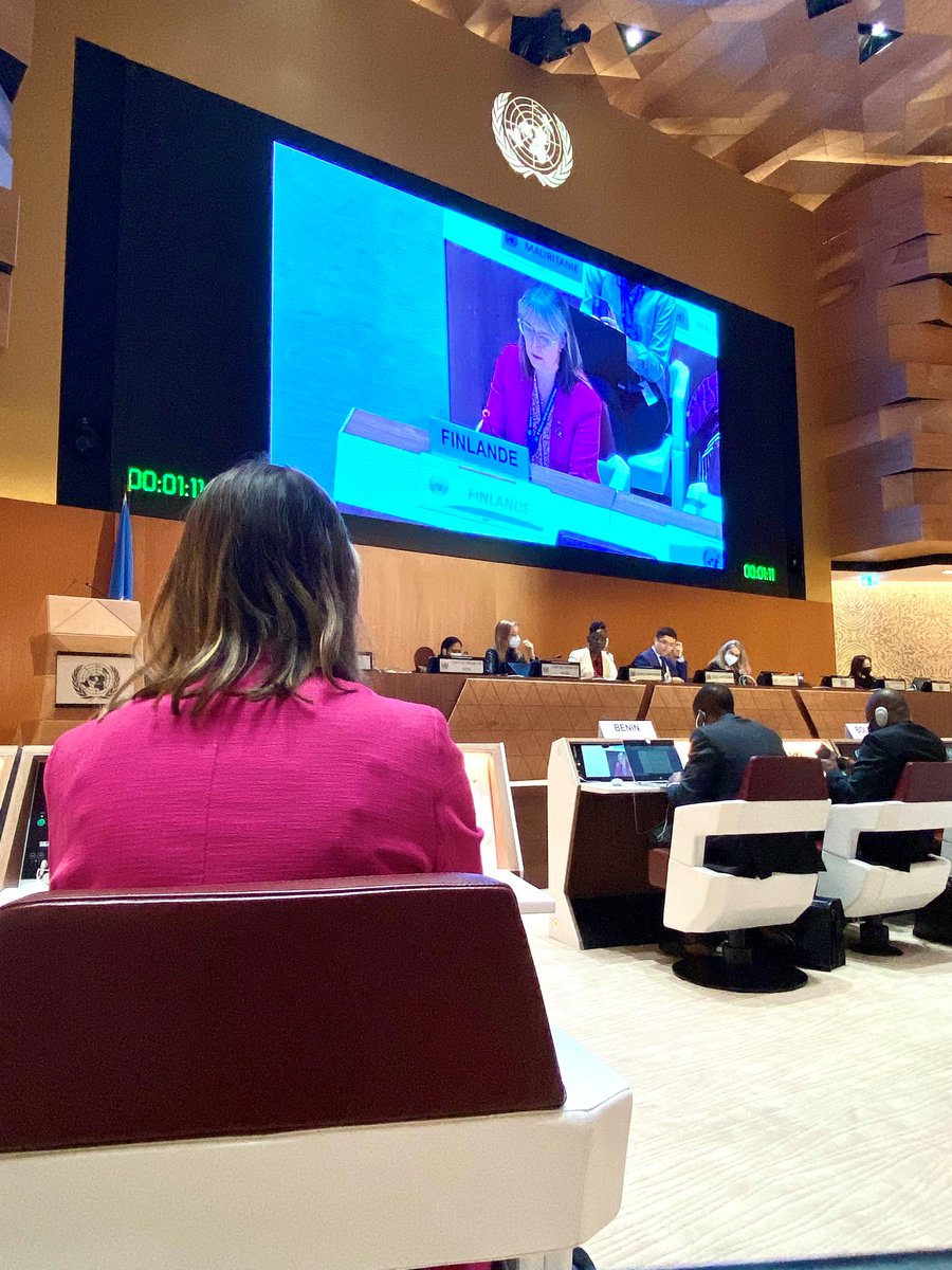 Vice Representative of the Permanent Mission of Finland in Geneva 