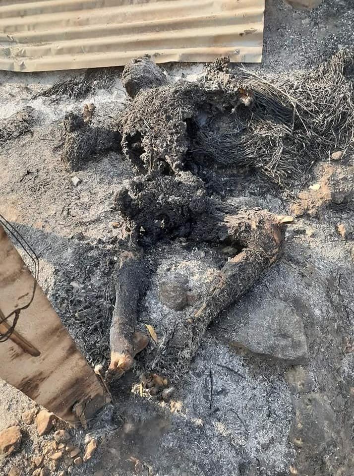 BluemoonAngel2's tweet photo. In Gwaycho village, Yesagyo tsp, PyuSawHtee group shot dead to UKyawMg, a dead mute person, abducted 2 residents, burnt down 15 houses of NLD supporters, and looted the valuable thing today. #WarCrimesOfJunta #2022Mar15Coup #WhatsHappeningInMyanmar https://t.co/QvNBw9gmyo