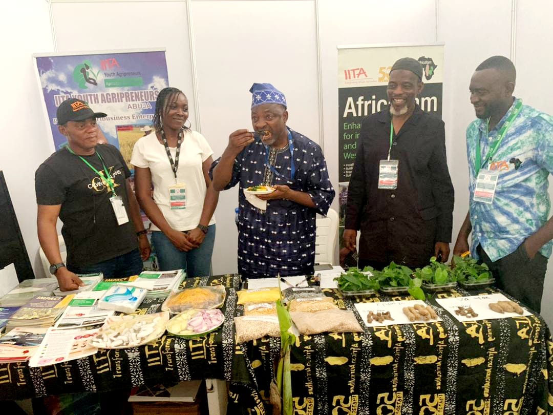 IITA_CGIAR's tweet photo. #Thread
Prof Lateef Sanni at the ongoing Science, Technology &amp; Innovation Expo. holding in Abuja
1- Prof Sanni, Head, IITA-Abuja with DG @FiiroOfficial https://t.co/bo1V8O2UkS