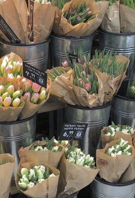 xvenomvenusx's tweet photo. bouquets for loved ones https://t.co/rubjxkGBpH