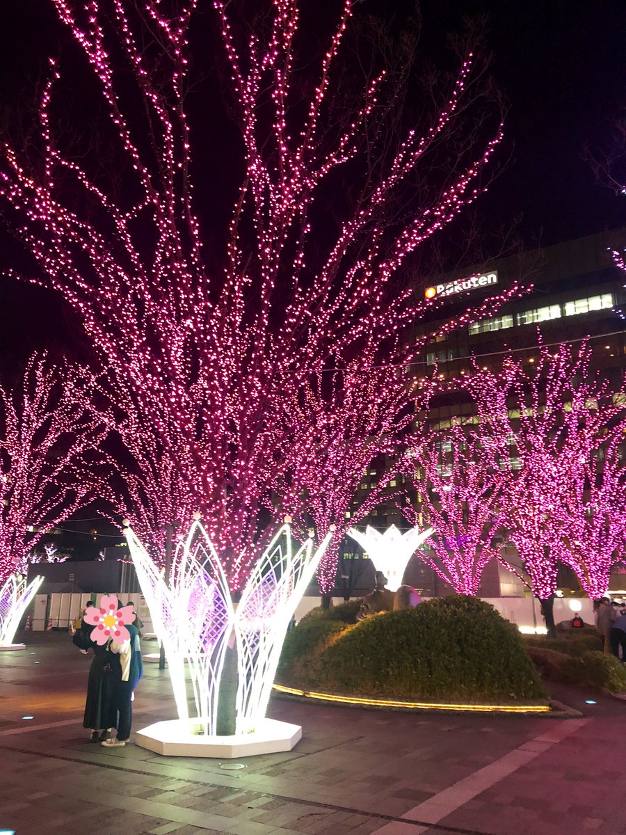 okakiko86's tweet photo. 博多駅の桜イルミネーションがとってもキレイだった❀𓈒𓂂𓂃◌𓈒𓐍 https://t.co/tnM0Vke0gm