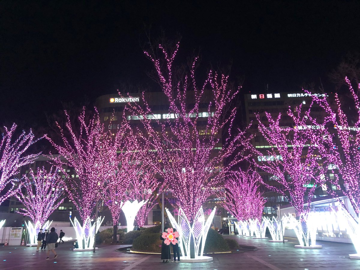 okakiko86's tweet photo. 博多駅の桜イルミネーションがとってもキレイだった❀𓈒𓂂𓂃◌𓈒𓐍 https://t.co/tnM0Vke0gm