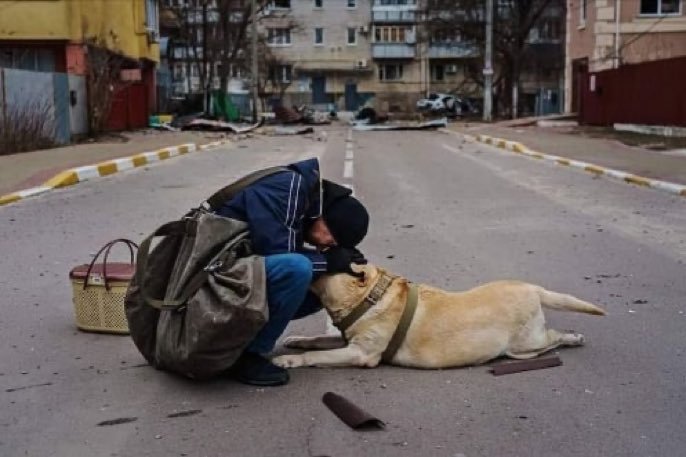 PoliticayModa's tweet photo. Intentando convencer a su perro, que ha quedado paralizado por el miedo tras el bombardeo, para seguir avanzando. Y cómo le explicas a un animal no humano que los animales humanos somos lo peor?💔 #bodylanguage  #paz https://t.co/rLjKKFfG8j