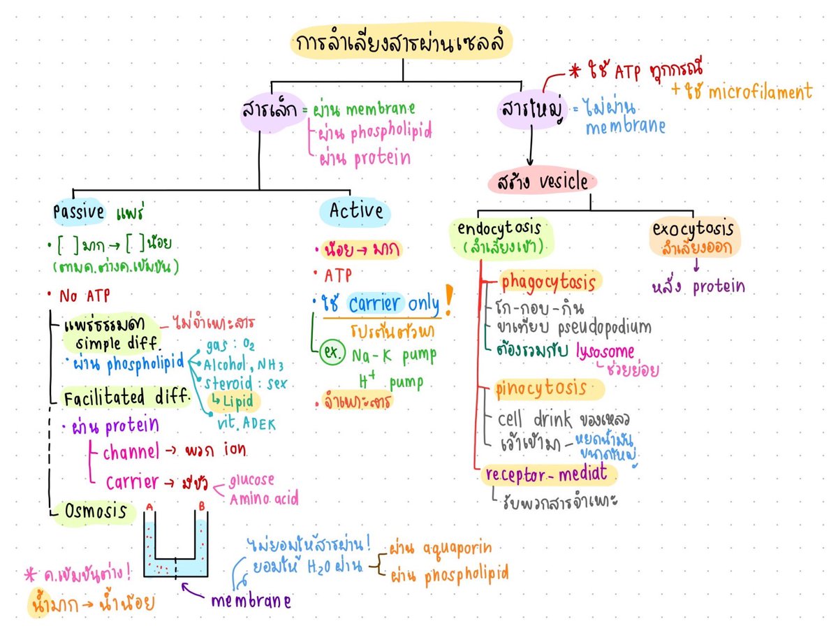 spongekid_'s tweet photo. 🏄🏻‍♀️🌷🦋⚡️#dek65 #จะสู้จนกว่าจะสอบติด https://t.co/6nWMqGalZA