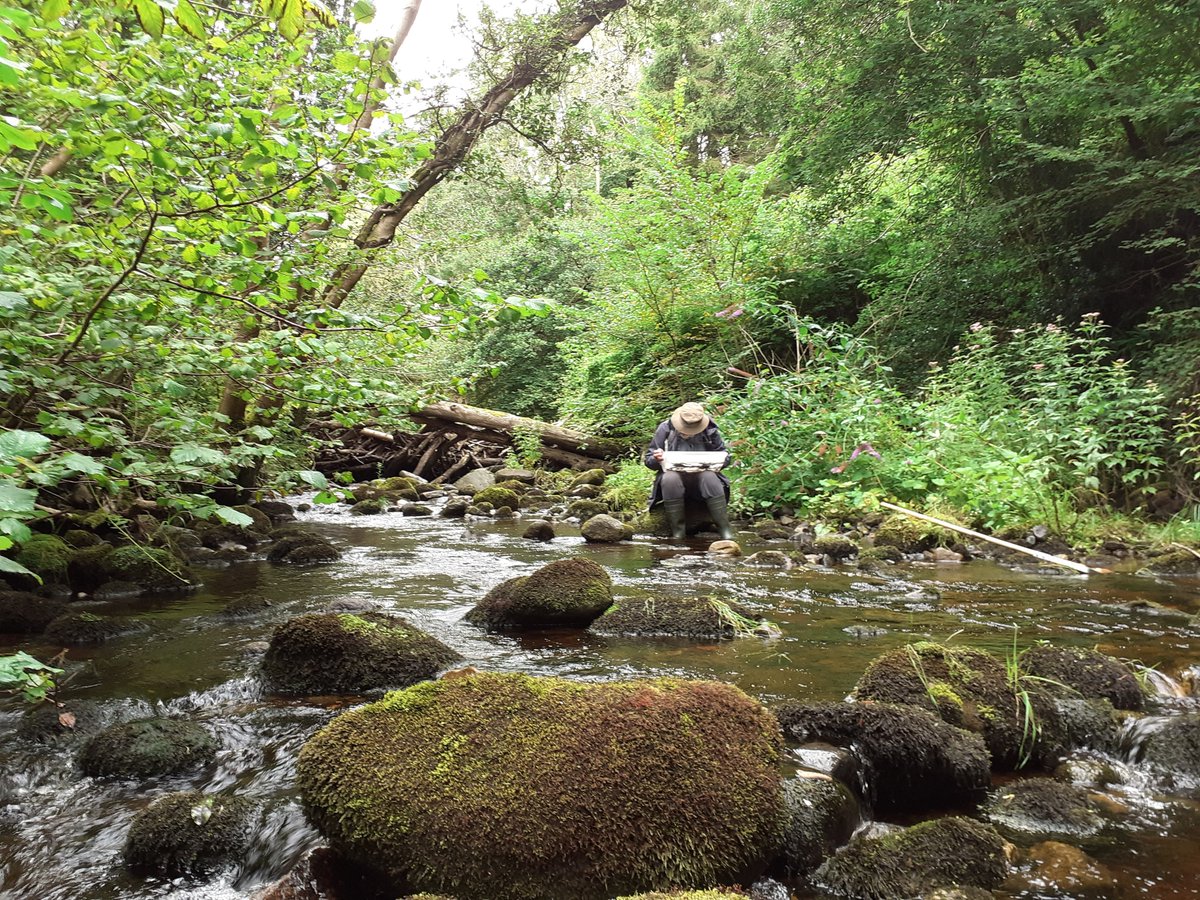 📢🐞🐾Calling all nature recorders and enthusiasts: Grants of up to €5,000 are now available to individual volunteer recorders, or recording associations to support their activity in nature recording. Further details and application information 👉

gov.ie/en/press-relea…