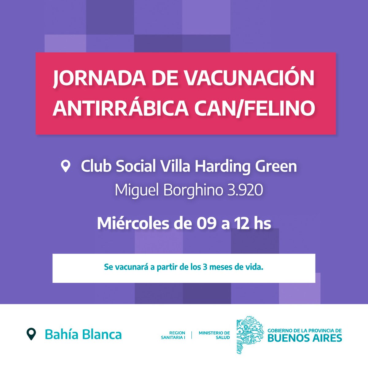 regsanuno's tweet photo. #BahiaBlanca | El área de Zoonosis de la región realizará una jornada de vacunación antirrábica en el Club Social Villa Harding Green, tendiente a cubrir los sectores más alejados del casco urbano. https://t.co/f5xM0UrZAM