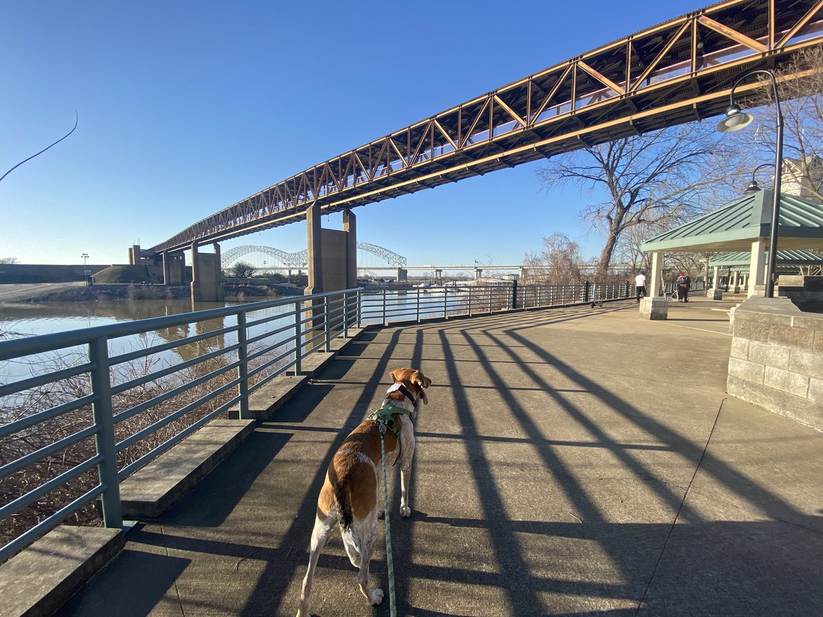 Andy Goh tweet media