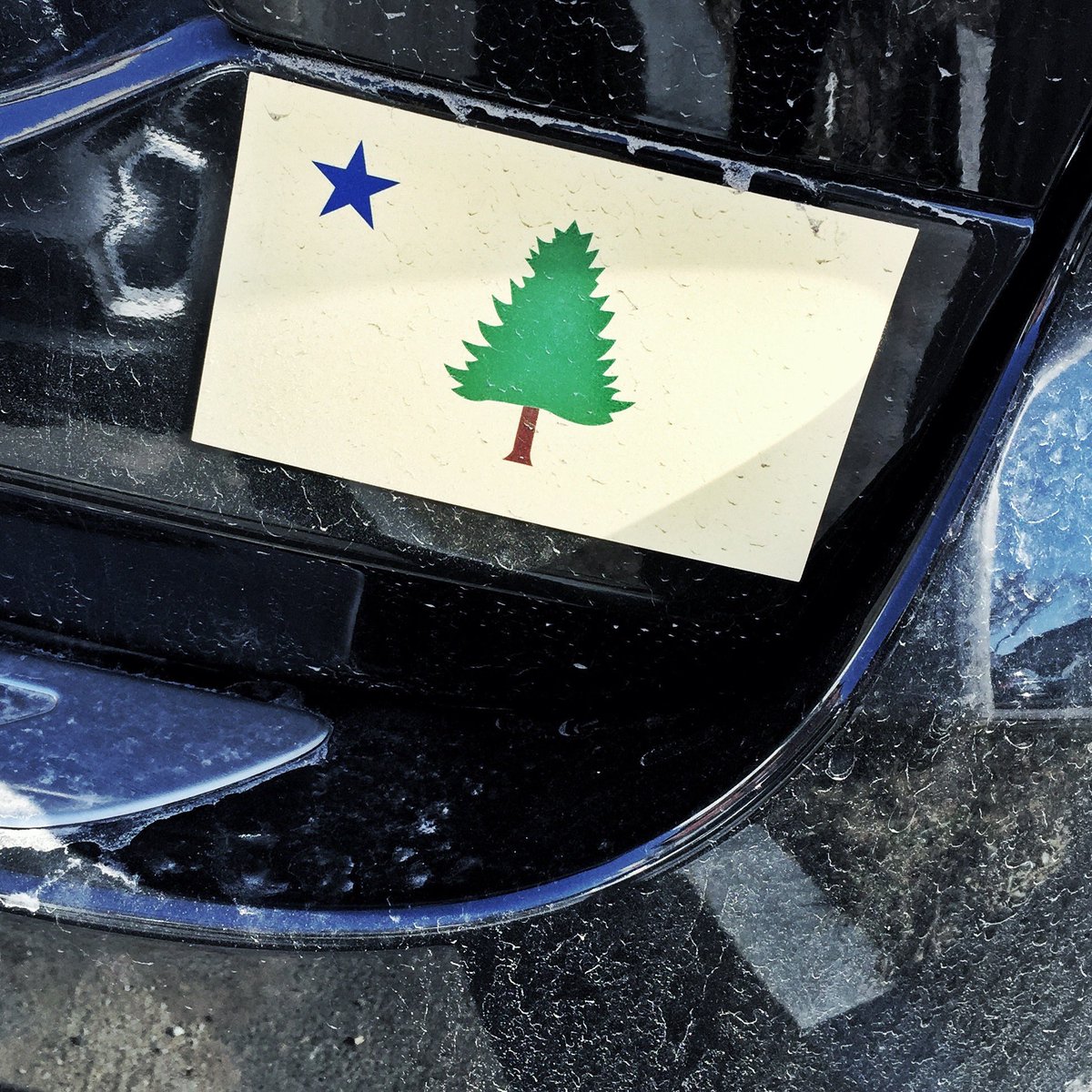 1901MaineFlag's tweet photo. Happy 202nd birthday Maine!!! #maine202 #maine #vacationland #thewaylifeshouldbe https://t.co/maHVndaBHp