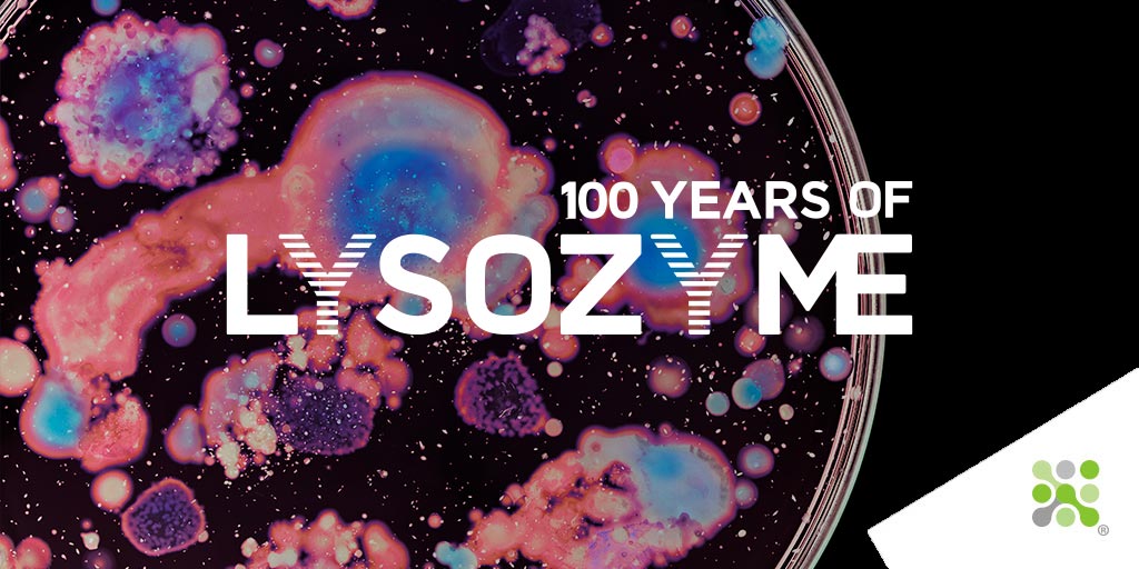 From 3p for tears to £3 for #Picasso s, this week we release the final instalment of ‘A beginning for #Lysozyme’, part of our celebration of #100yearsofLysozyme. Learn more here: bit.ly/3q7lOMV