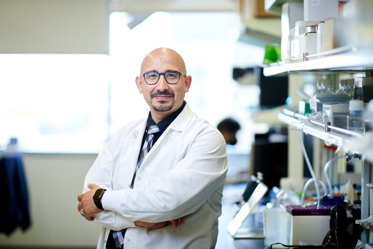 WashU Medicine Pathology & Immunology tweet media