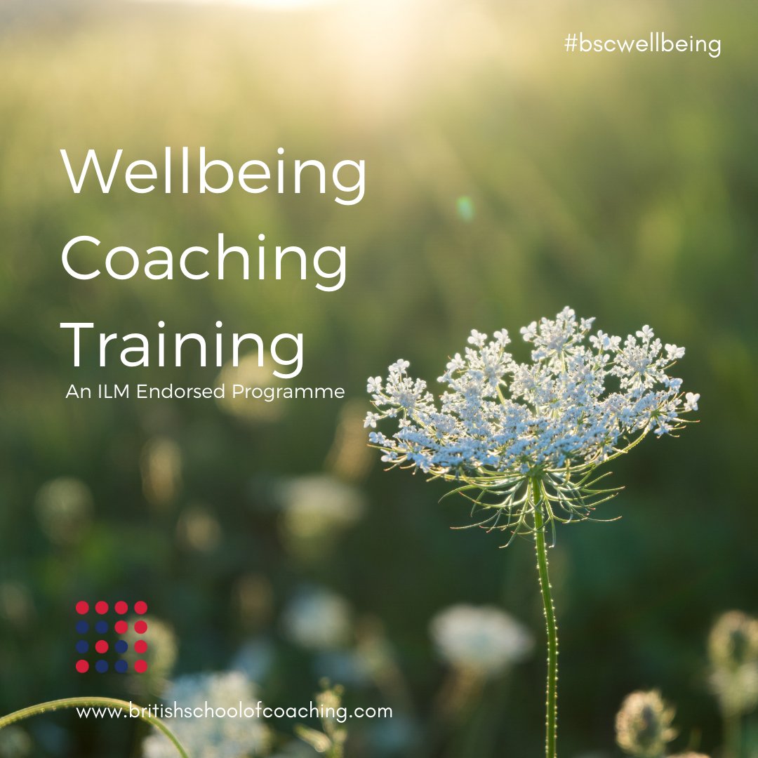 bsc4coaching's tweet photo. Empower yourself and your clients with the knowledge, skills and confidence needed to make necessary lifestyle and behavioural changes to improve their health and quality of life. https://t.co/mlDvqDrAc3 #wellbeingcoaching #wellbeingtraining #workshop #event #train #develop https://t.co/waplVOLPLZ
