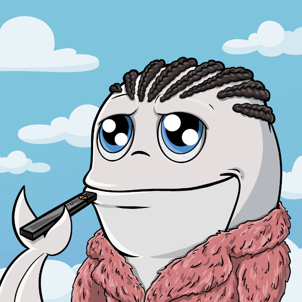CryptoWhales 🐋 ❁ tweet media