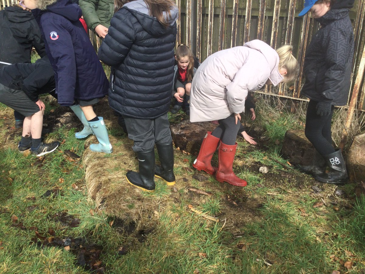 UplawmoorPS's tweet image. We are celebrating British Science Week with a full day of science activities linked to the theme of GROWTH. P5-7 made and scattered wildflower seed balls. When our 🌸🌼grow,  hopefully  they will attract insects  to  our environment.  @ScienceWeekUK #BSW22 #ERCSTEM