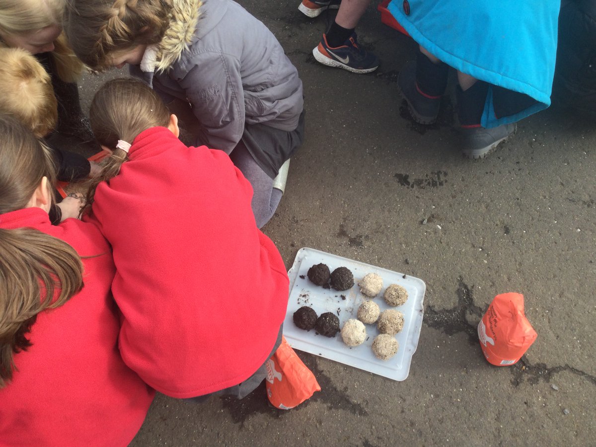 UplawmoorPS's tweet image. We are celebrating British Science Week with a full day of science activities linked to the theme of GROWTH. P5-7 made and scattered wildflower seed balls. When our 🌸🌼grow,  hopefully  they will attract insects  to  our environment.  @ScienceWeekUK #BSW22 #ERCSTEM