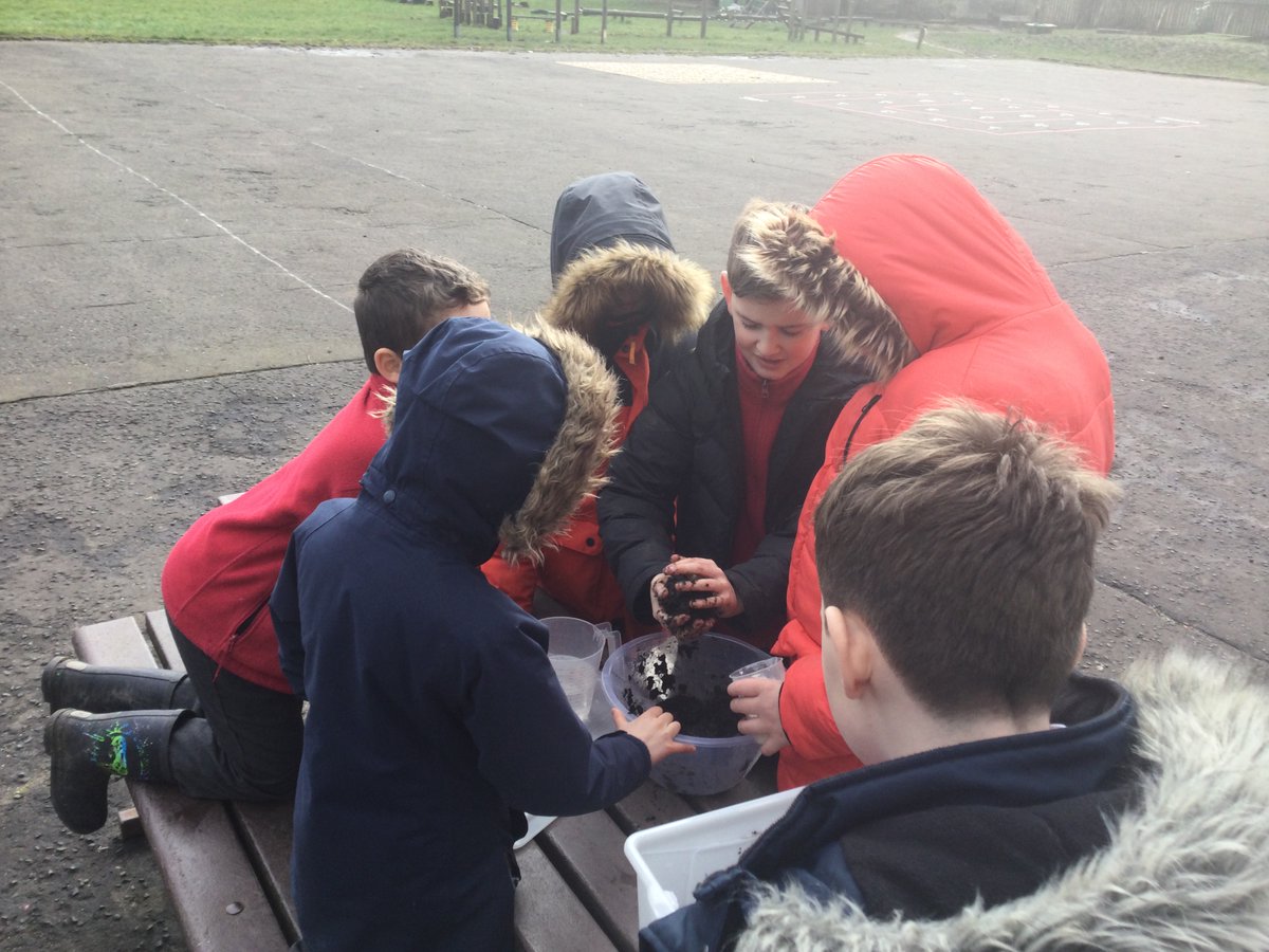 UplawmoorPS's tweet image. We are celebrating British Science Week with a full day of science activities linked to the theme of GROWTH. P5-7 made and scattered wildflower seed balls. When our 🌸🌼grow,  hopefully  they will attract insects  to  our environment.  @ScienceWeekUK #BSW22 #ERCSTEM