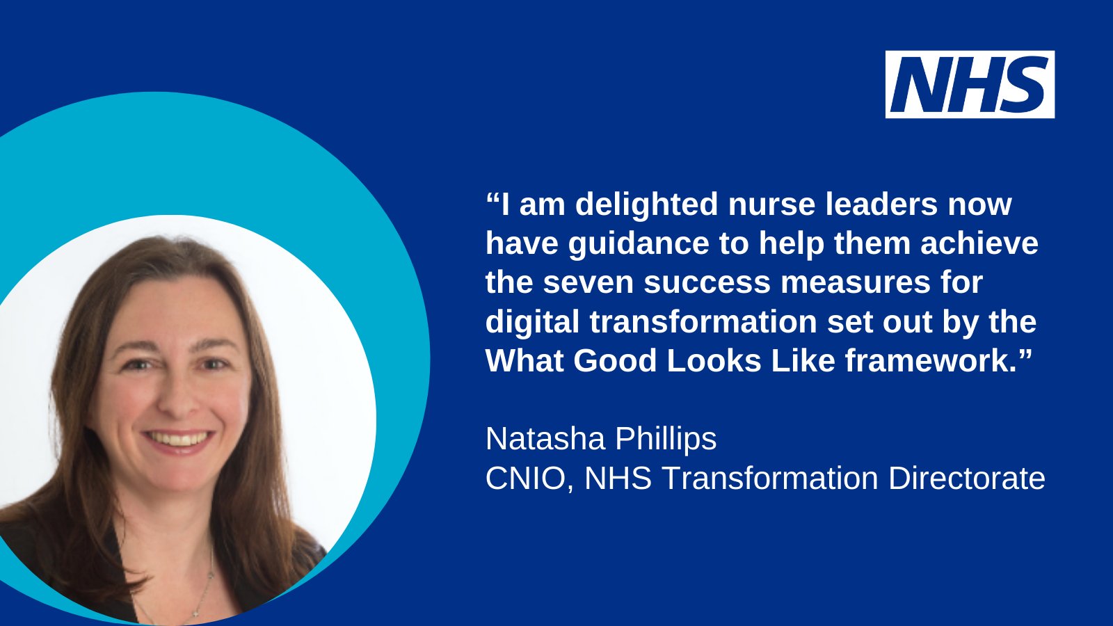 What Good Looks Like framework - What Good Looks Like - NHS Transformation  Directorate