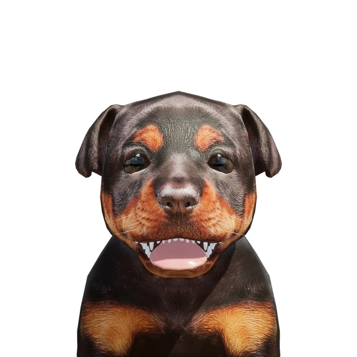 GowwaaN's tweet photo. @kokid951 Join our #pochi community @PochiInu_io @YashaToken with @CliffToken
all successful tokens for our #nft collection - 5 breeds will feature in our #Pochi genesis collection 

1. Rottweiler
2. Pochi Inu
3. German Shephard
4. Shiba Inu
5.Welsh Corgi
Stay tuned for more! https://t.co/J5GDOl3aSk