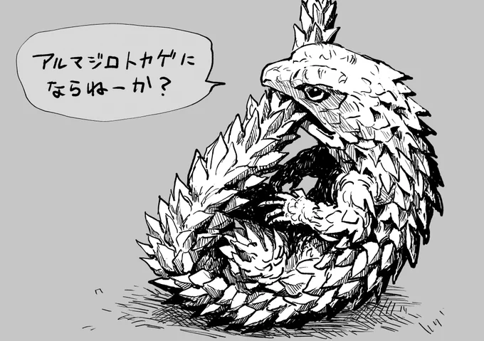 かっけー生きもの代表アルマジロトカゲ 