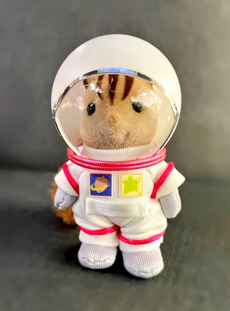 614sheep's tweet photo. #シルバニアハンドメイドコンテスト
#minne
#トーカイ
#お洋服部門
🪐「夢は憧れの宇宙飛行士」🚀⭐
格好良くて、夢とドキドキわくわくが詰まった憧れのお仕事、宇宙飛行士の宇宙服をくるみリスちゃんに着てもらいました。チャームポイントの尻尾が出ちゃっているのはご愛嬌🐿

#シルバニアファミリー https://t.co/0InNFBYwId
