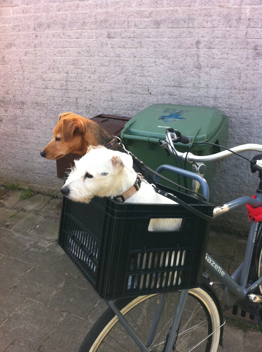 dynamiccycling's tweet photo. Jack en Jill 😉 https://t.co/INPzU8x4kr