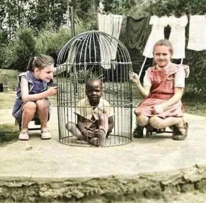 myhistorytales's tweet photo. #DidYouKnow Belgian colonialization of Congo in Africa was one of the most oppressive regimes. 

Belgians actually put Congolese kids in cages as pets for their own children 😷😞

Champions of human rights today were once perpetrators themselves. History shouldn’t be forgotten. https://t.co/agIf0JS0g8