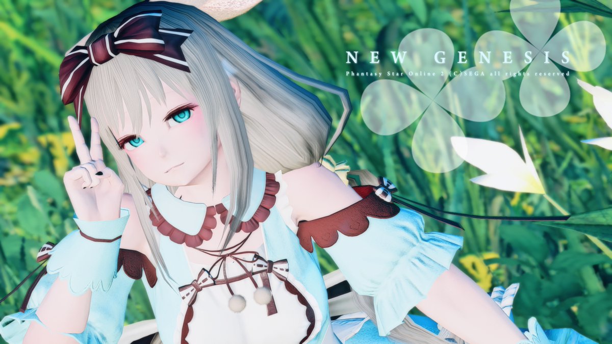 人気の もこさんぬ様専用 ディスプレイ