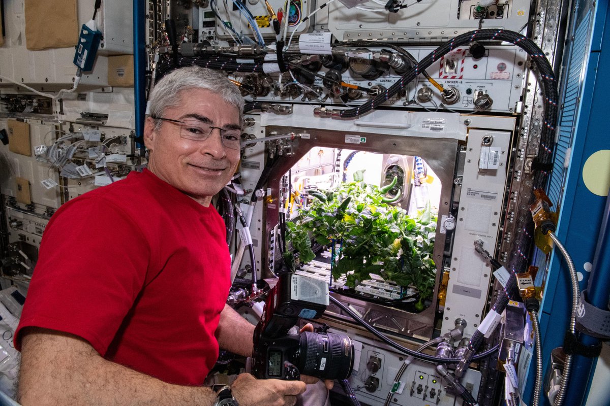 LearnWithNASA's tweet photo. Today, @Astro_Sabot sets a new record for longest single spaceflight by a @NASA_Astronauts! 🎉
Send your congratulations with a wave as the @Space_Station zooms over the U.S. each night this week. Visit https://t.co/QlJvrRDgq2 to find out when & where to look. 👋🏾 https://t.co/kichC4AG5m