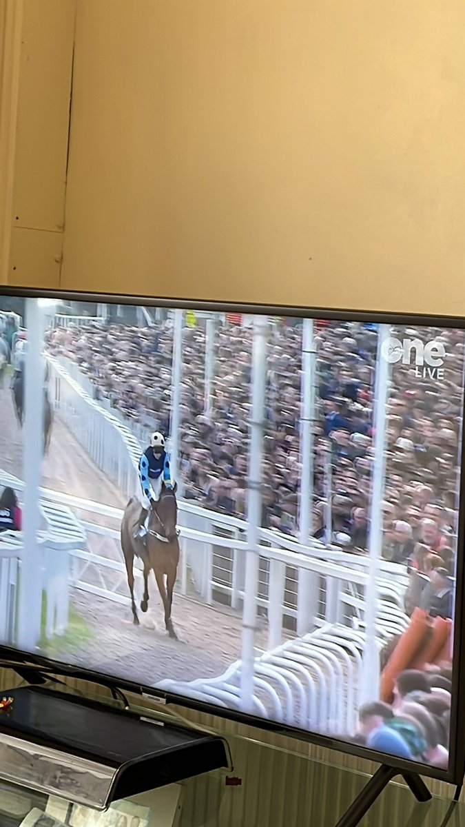ccfcgirlnickla's tweet photo. #CheltenhamFestival #day1 #nason 7th #Cheltenham age 6 lol . #horses #loveit . His doing his #numberblocks lol #15mar22 happy confirmation day Caoimhe https://t.co/bkbqTYD2n5