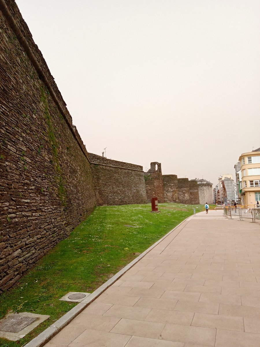 Canay Junior tweet media