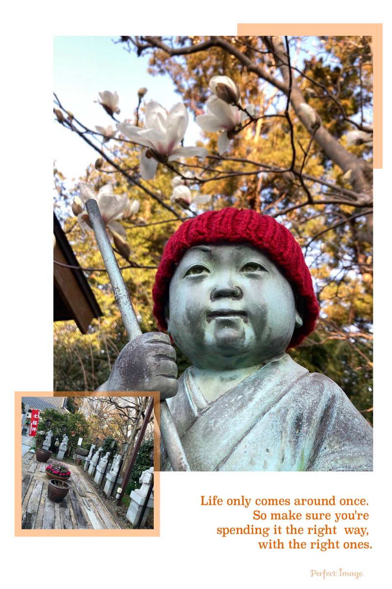 ctheron97's tweet photo. 2022年3月15日
#福泉寺
#御朱印
こちらは地下霊場があり左側の手摺りだけが頼り。手摺りが途切れるとこがあり、その先に銀の輪がある。それに触れたなら薬師如来様とご縁が結ばれ御利益を頂くことが出来るそう😌無事触れてきました(о´∀`о)
神奈川県横浜市緑区長津田 https://t.co/Y0bsTvADOx
