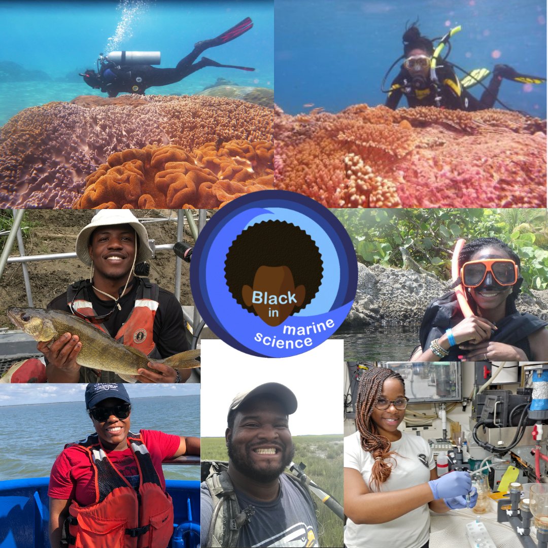 ICB_journal's tweet photo. We are thrilled to collaborate with @BlackinMarSci ! 

The ICB blog &amp; BIMS, will be collaborating to highlight #scientists from the #BIMS organization ( started by @curly_scientist) 

Read more about BIMS
https://t.co/VEhJmjezXM
&amp; view their @YouTube 
https://t.co/QhMHWnjmWe https://t.co/woszCkSTKu