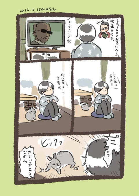 今日のrabbit…
#うさぎのいる生活 