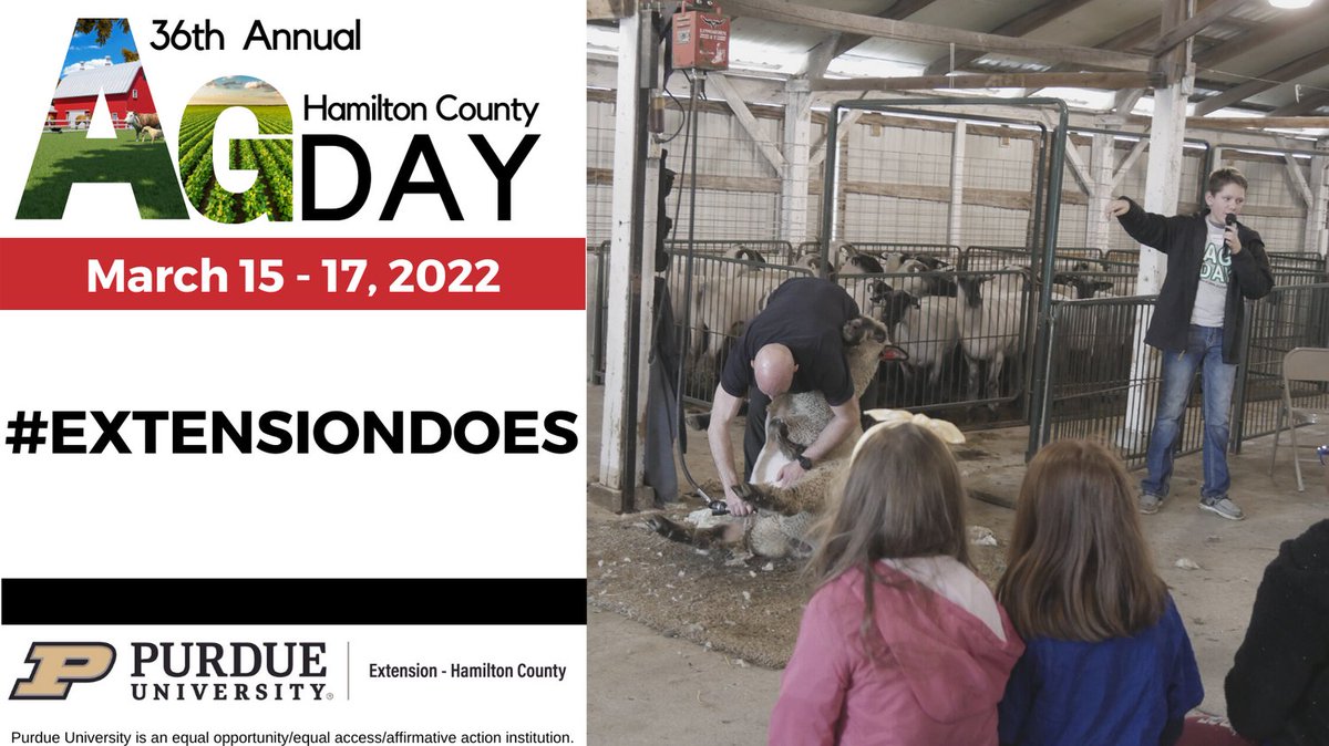 PurdueExtHamCo's tweet photo. #AgDay2021 is underway @HamiltonCounty4-HFairgrounds! 2nd graders are learning that agriculture plays an important role in their daily lives!
#ExtensionDoes #PurdueExtension https://t.co/aupT2slaKi