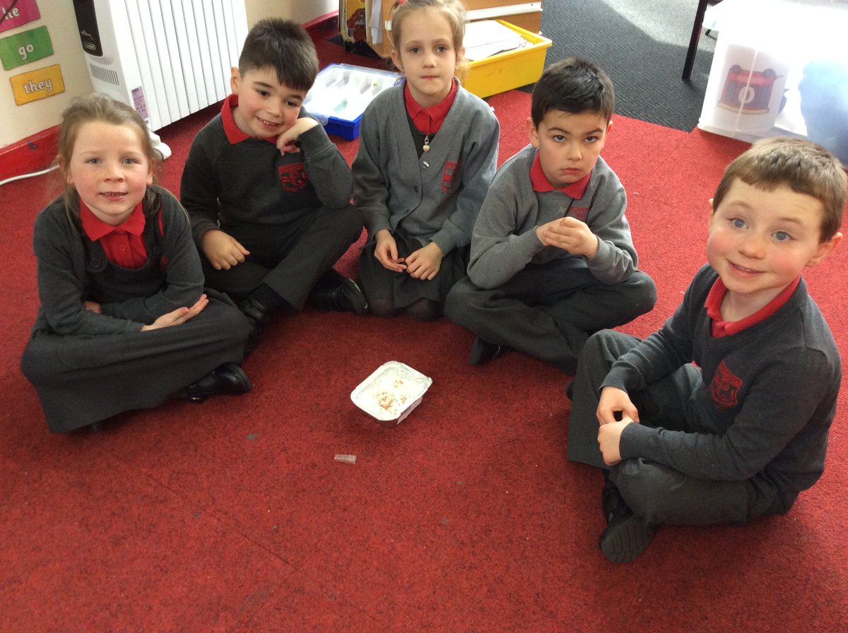 PrentonPrimary's tweet photo. Growing cress for Science week. https://t.co/ySm2KvvTdf
