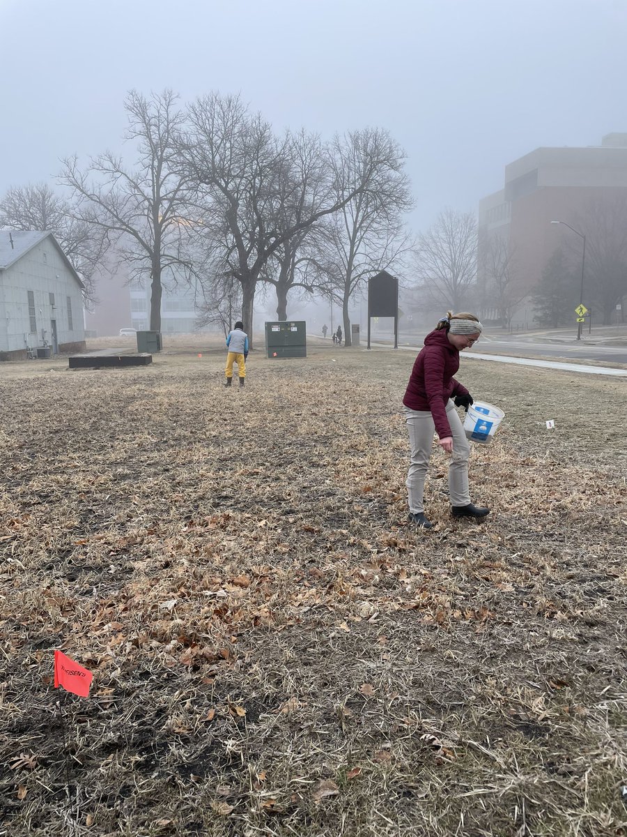 Kelsey_E_Fisher's tweet photo. Spent the morning spreading prairie seed mix over the building footprint of my first PhD office. https://t.co/CY5sKHz8Vt