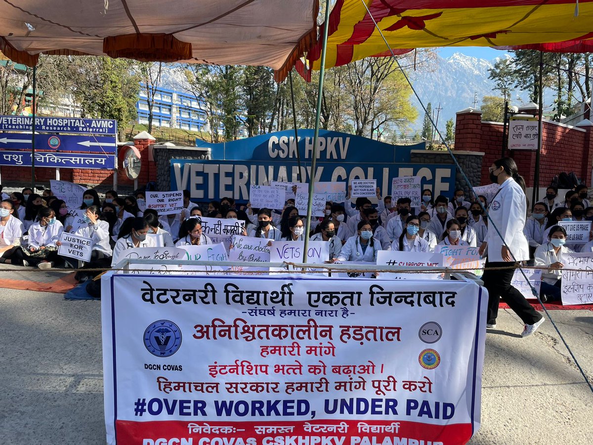 Rajasthan stands with Himachal Pradesh✌️
#HP_Vet_Stipend  
#Increase_Vet_Stipend
<a href="/cmohimachal/">CMO , Himachal Pradesh</a> <a href="/drsanjeevbalyan/">Dr. Sanjeev Balyan</a>
<a href="/jairamthakurbjp/">Jairam Thakur</a> <a href="/presidentVCI/">Dr. Umesh C Sharma</a> <a href="/PRupala/">Parshottam Rupala</a>
#Vets_On_Strike