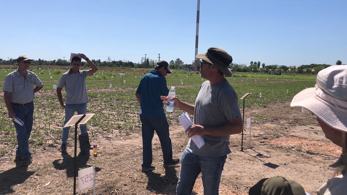 c_sampaoli's tweet photo. #jornadademeterlab Bell Ville, cordoba, tratando de entender como se incorporan los herbicidas @demeterlab1 @cachademeterlab @LigierAgro https://t.co/iM0k2xgLei