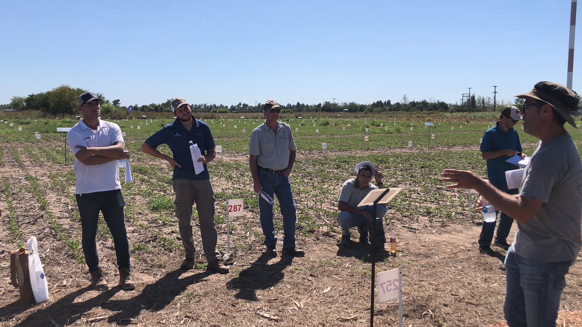 c_sampaoli's tweet photo. #jornadademeterlab Bell Ville, cordoba, tratando de entender como se incorporan los herbicidas @demeterlab1 @cachademeterlab @LigierAgro https://t.co/iM0k2xgLei