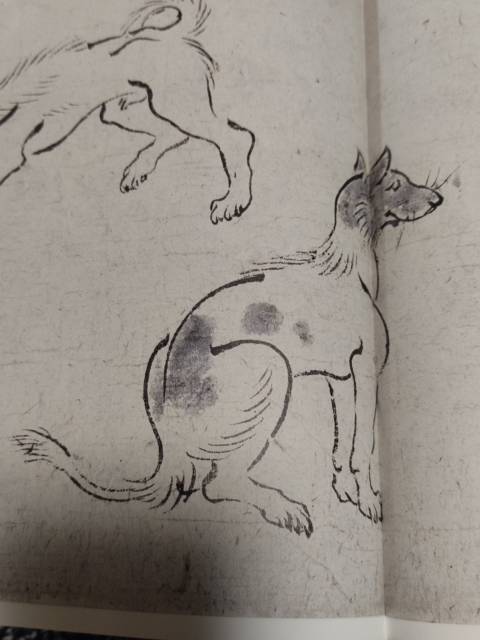 Miki S 鳥獣戯画 十二支 戌年 犬 わんちゃん 羊毛フェルト ハンドメイド T Co Ecwqdr9lzb Twitter