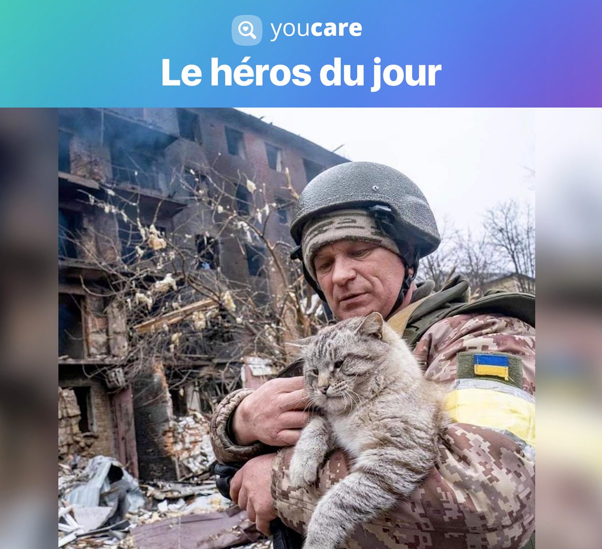 youcare_ngo's tweet photo. Un militaire ukrainien retrouvant un chat au beau milieu des décombres ❤️
Un cliché plein de courage et d’émotions 💪 ❤️
#youcare #animaux #helpinganimal https://t.co/rKajfNKJnP