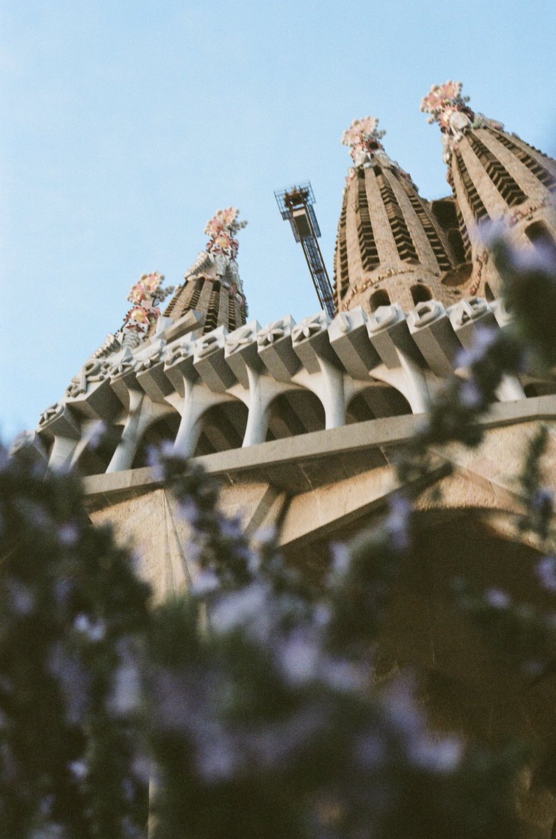 ceciliabilton's tweet photo. Barcelona on film 🤍 https://t.co/E7FK7ZfPV5