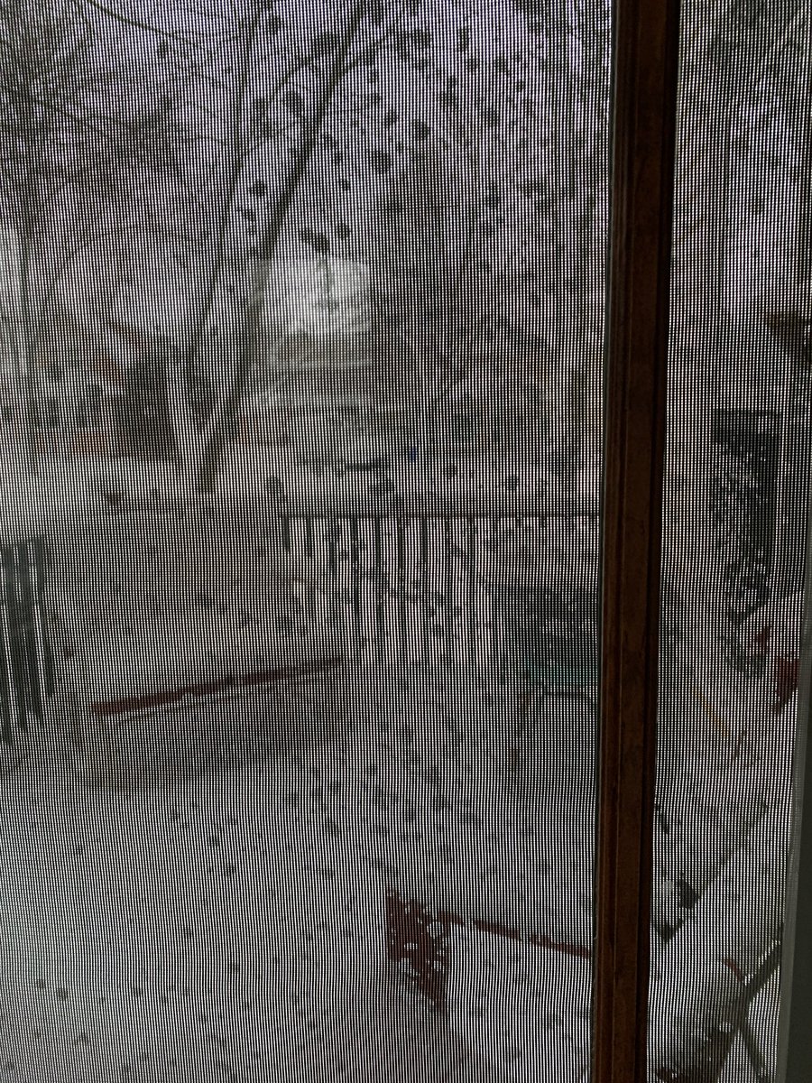 anothertwit3's tweet photo. My photo app tells me that this was a year ago. Could still happen, just not today! #NotTodayWinter #snowbegone https://t.co/yIqSi0WDBP