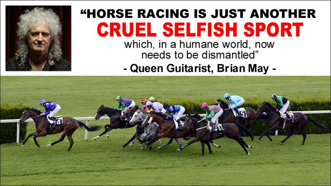 “Horse racing is just another cruel selfish sport which, in a humane world, now needs to be dismantled” - Queen Guitarist @DrBrianMay (2013)