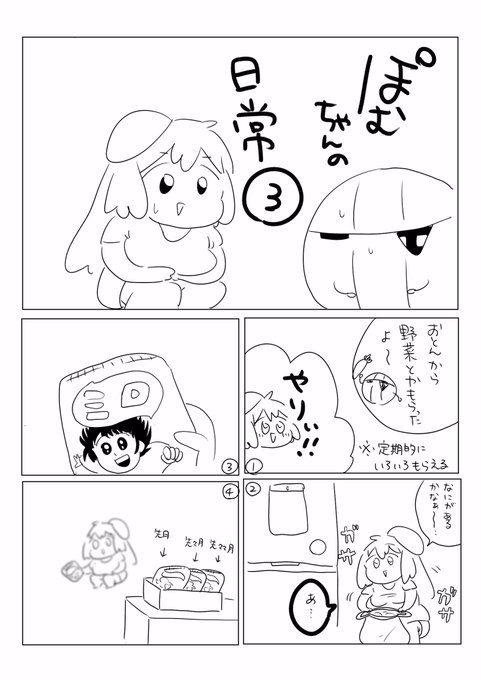 今は白菜も2玉ある 