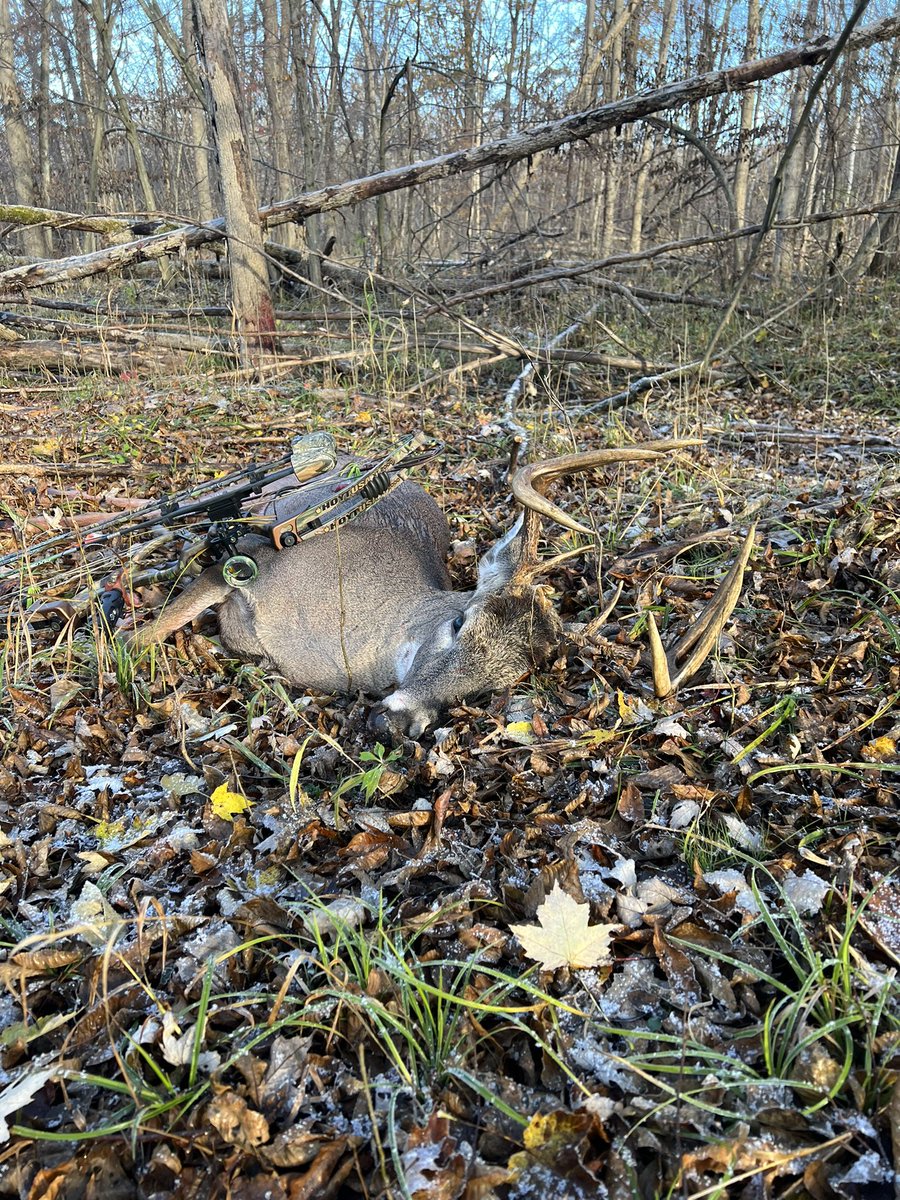 mattosto1's tweet photo. @AverageHunter @johngutierrez1 https://t.co/wul3GyEKPe