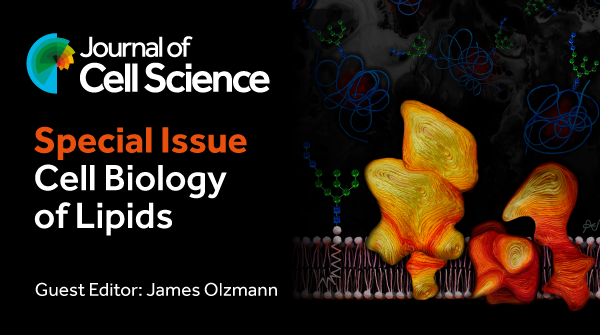 Our new special issue is out: #CellBiology of #Lipids. 
Guest edited by <a href="/OlzmannLab/">James Olzmann</a> and packed with interviews, review and research articles, short reports, tools and resources and two cell science at a glance  posters.
tinyurl.com/yc8yzvcz