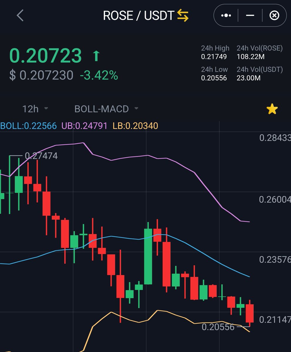 Cryptopformer's tweet photo. I'm buying the $Rose dip @OasisProtocol #RoseToken 🌹
Buy it on #Binance https://t.co/mwGXJDPxDI
