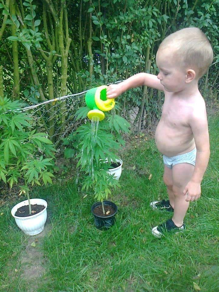 cuidando las plantitas 💚
