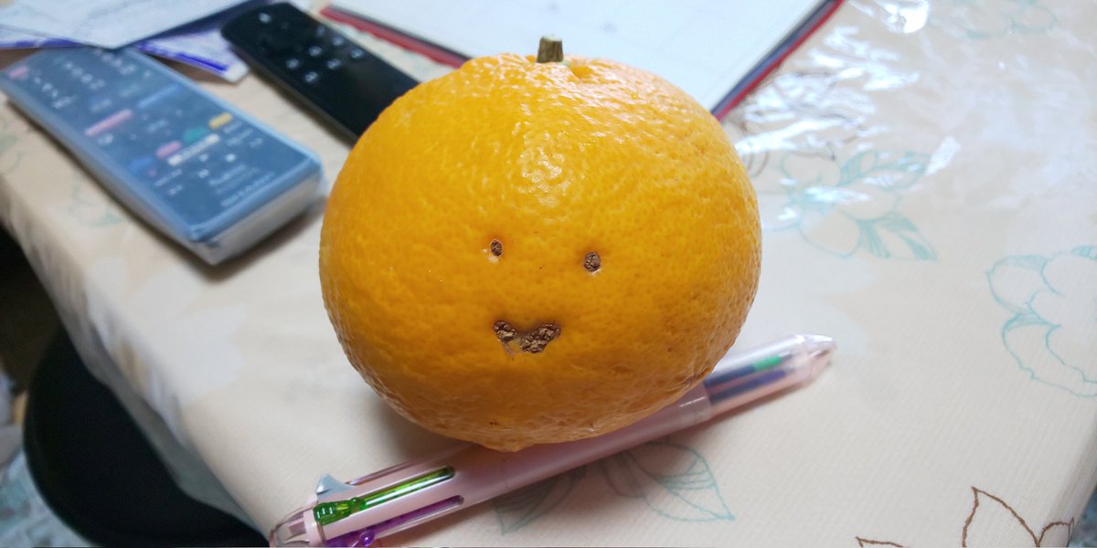 jibusukini's tweet photo. 友達からもらった甘夏が笑ってて可愛い♥
剥いて食べちゃったんですけどね https://t.co/EkaV9oTJez
