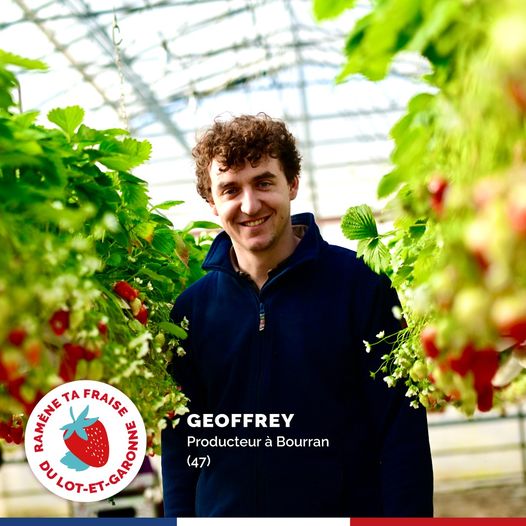 Si les #fraises françaises sont aussi bonnes, c'est grâce au savoir-faire des #agriculteurs. Expert agronome, gérant de société, DRH, comptable... 🧑‍🌾👩‍🌾
Le #fraisiculteur est un vrai couteau suisse ! 🍓
#agriculture #fraisesfrançaises #gariguette